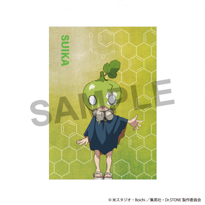 Dr.STONE Suika Mask Silver Necklace - Anime Jewelry, Adjustable Chain, Collectible Gift